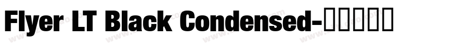 Flyer LT Black Condensed字体转换